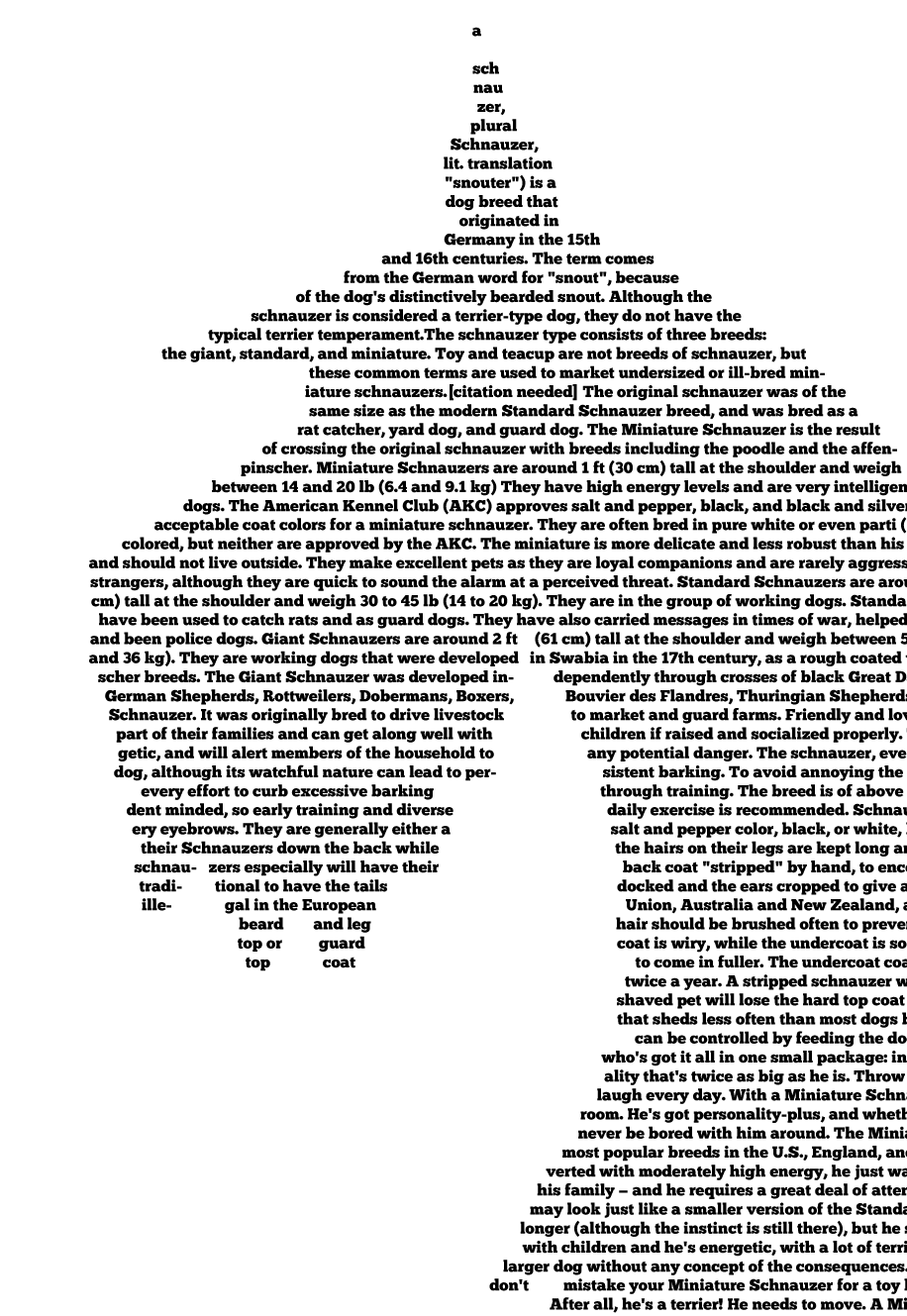 Schnauzer Pride T-Shirt